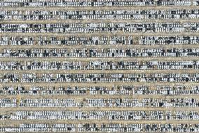 Chinese Automobile Exports