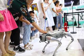 WORLD INTELLIGENCE EXPO 2025 in Chongqing