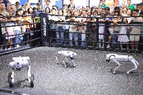 WORLD INTELLIGENCE EXPO 2025 in Chongqing