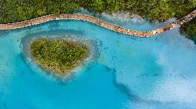 Lijiang Blue Moon Valley Scenery - Yunnan
