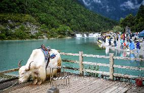 Lijiang Blue Moon Valley Scenery - Yunnan