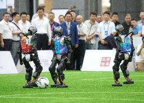2025 Asia-Pacific Robot World Cup Qingdao International Invitational Football Tournament in Qingdao