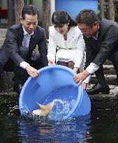 Japanese Princess Aiko