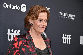 Toronto Dust Bunny Screening