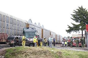 Atlacomulco Train And Bus Crash - Mexico