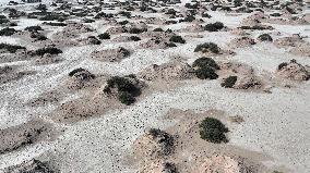 Gobi Desert Ecology in Hami