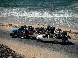 Civilian Evacuation Of Gaza