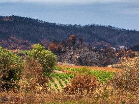 Illustration - Corbieres