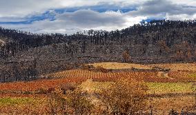 Illustration - Corbieres