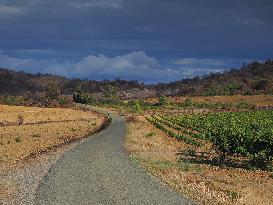 Illustration - Corbieres