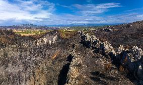 Illustration - Corbieres