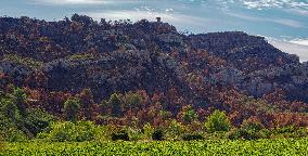 Illustration - Corbieres