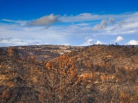 Illustration - Corbieres