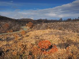 Illustration - Corbieres