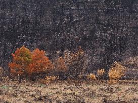 Illustration - Corbieres