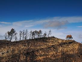 Illustration - Corbieres