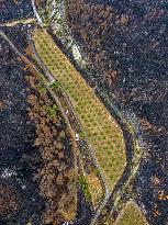 Illustration - Corbieres