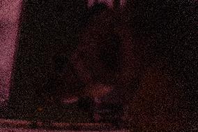 Kharkiv Astronomers Work Despite Continuing Russo-Ukrainian War - Ukraine