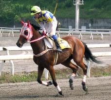 Famed Japanese racehorse Haru Urara dies