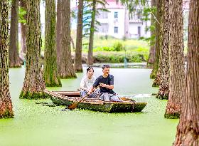 Water Forest
