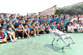 Science Popularization in Primary School