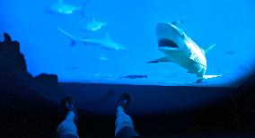 BC EARTH: LIFE AT EXTREMES Digital Image Exhibition First Exhibition in Shanghai,