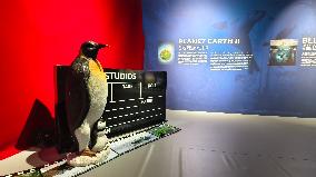 BC EARTH: LIFE AT EXTREMES Digital Image Exhibition First Exhibition in Shanghai,