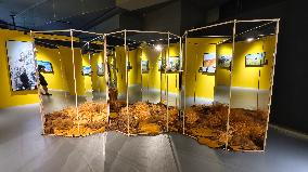 BC EARTH: LIFE AT EXTREMES Digital Image Exhibition First Exhibition in Shanghai,