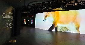 BC EARTH: LIFE AT EXTREMES Digital Image Exhibition First Exhibition in Shanghai,