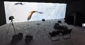 BC EARTH: LIFE AT EXTREMES Digital Image Exhibition First Exhibition in Shanghai,