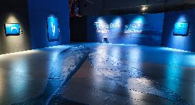 BC EARTH: LIFE AT EXTREMES Digital Image Exhibition First Exhibition in Shanghai,