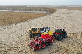 Alfalfa Planting Demonstration Base - China