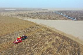 Alfalfa Planting Demonstration Base - China