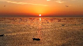 Fishermen at Work Aboard Their Boats - China