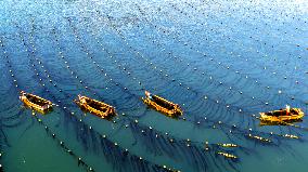 Fishermen at Work Aboard Their Boats - China