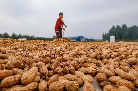 Autumn Harvest - China