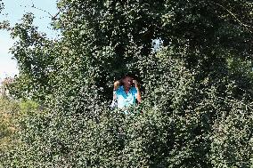 MOTORI - Formula 1 - Pirelli Gran Premio d'Italia 2025