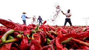 Chili Drying Field in Zhangye