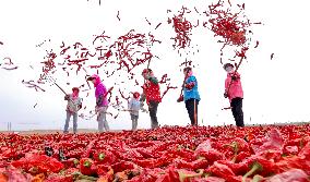 Chili Drying Field in Zhangye