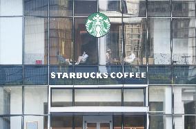 Starbucks China For Sale
