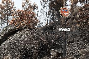 Larouco Fire Affects Quiroga And A Rua - Spain