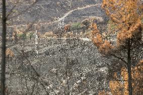 Larouco Fire Affects Quiroga And A Rua - Spain