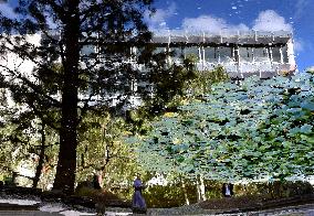 Japanese Garden Of Peace By Isamu Noguchi At Unesco in Paris