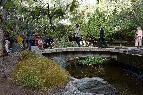 Japanese Garden Of Peace By Isamu Noguchi At Unesco in Paris