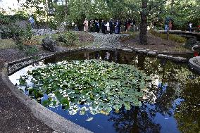 Japanese Garden Of Peace By Isamu Noguchi At Unesco in Paris