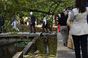 Japanese Garden Of Peace By Isamu Noguchi At Unesco in Paris