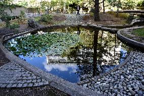Japanese Garden Of Peace By Isamu Noguchi At Unesco in Paris