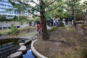 Japanese Garden Of Peace By Isamu Noguchi At Unesco in Paris