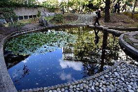 Japanese Garden Of Peace By Isamu Noguchi At Unesco in Paris