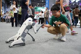 CIFTIS Opens To General Public - China